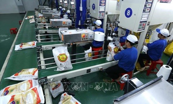 Le Vietnam exporte 3,58 millions de tonnes de riz en sept mois